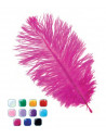 Pluma pequeña 18-25cm