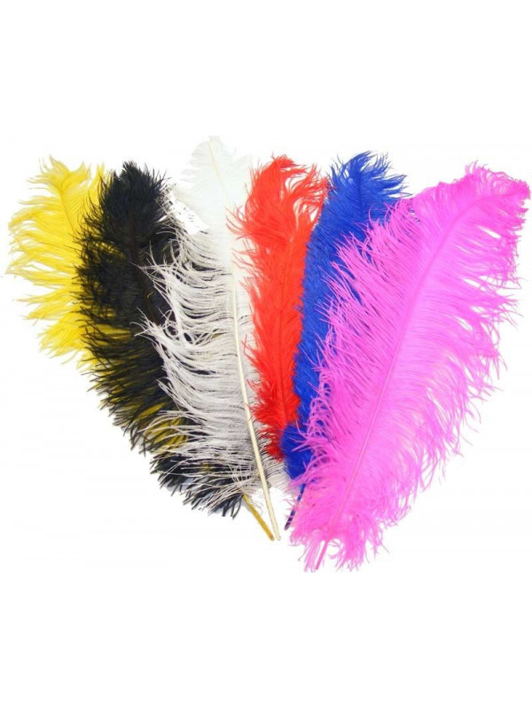 Pluma de avestruz 40-49cm.