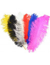 Pluma de avestruz 40-49cm.