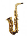 Saxo 8 notas