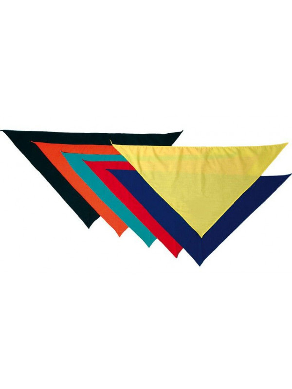 Pañuelo triangular para el cuello