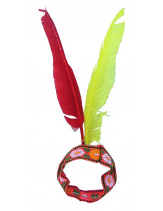 Penacho de india 2