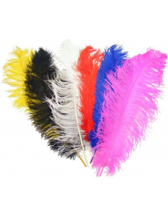 Pluma de avestruz 50-60cm