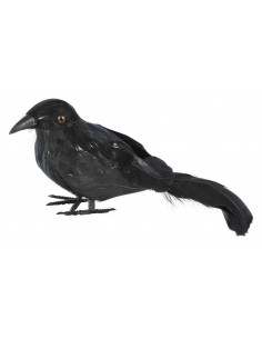 Cuervo plumas