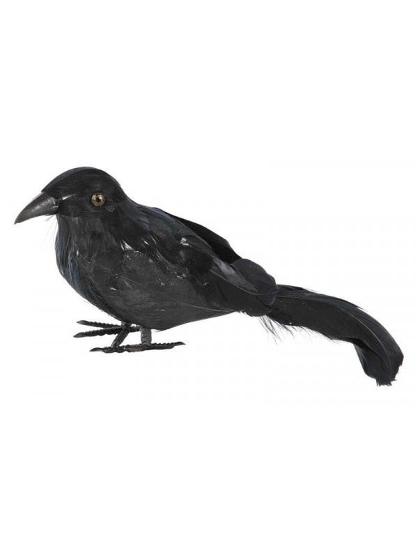 Cuervo plumas