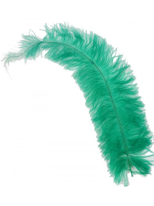 Pluma sombrero