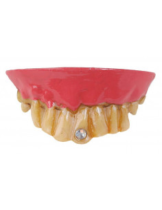 Dentadura con diamante