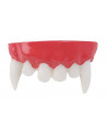 Dentadura hombre lobo