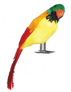 Loro de plumas