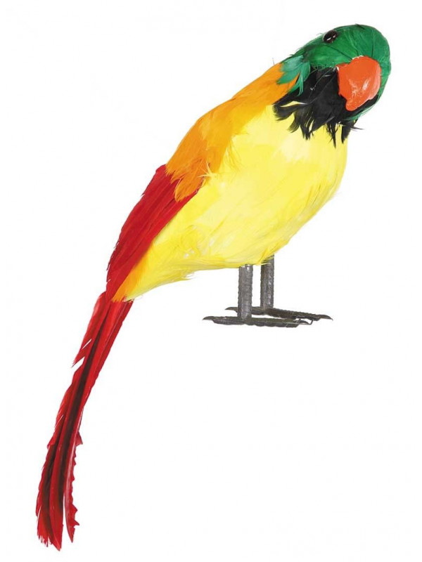 Loro de plumas
