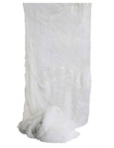 Tela de arana gigante