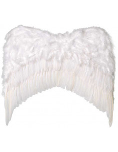 Alas de plumas blancas pequeñas