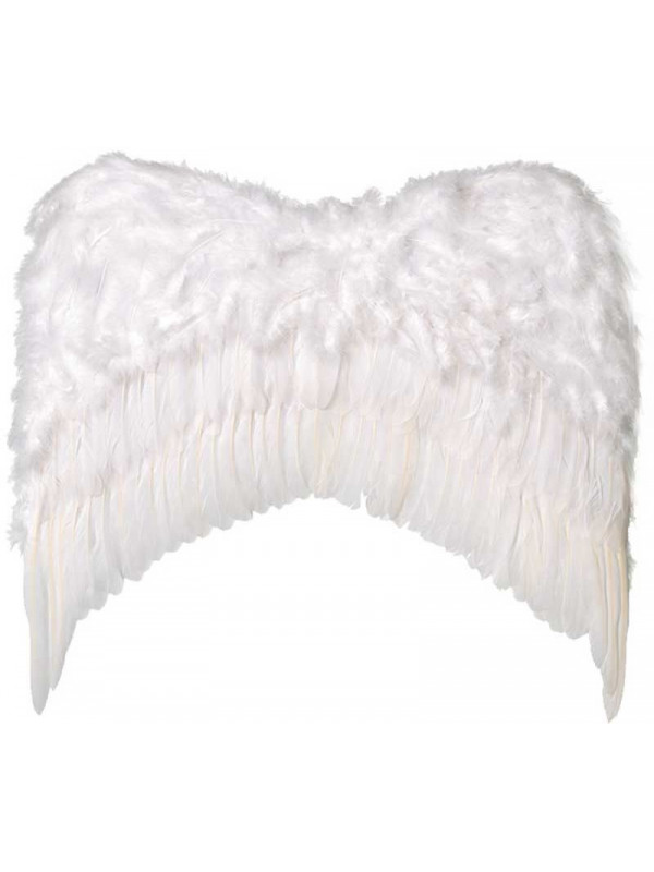 Alas de plumas blancas pequeñas
