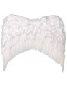 Alas de plumas blancas pequeñas