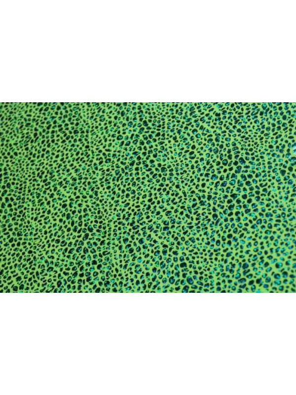 Tejido elastico bett