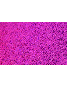 Tejido elastico Cheer