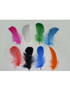 Pluma pavo colores