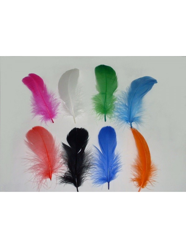 Pluma pavo colores