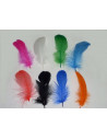 Pluma pavo colores