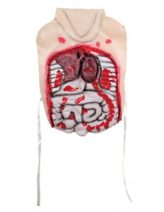 Pechero tripas de latex