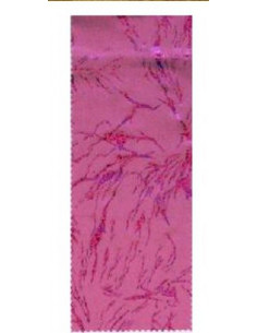 Tejido elastico sever