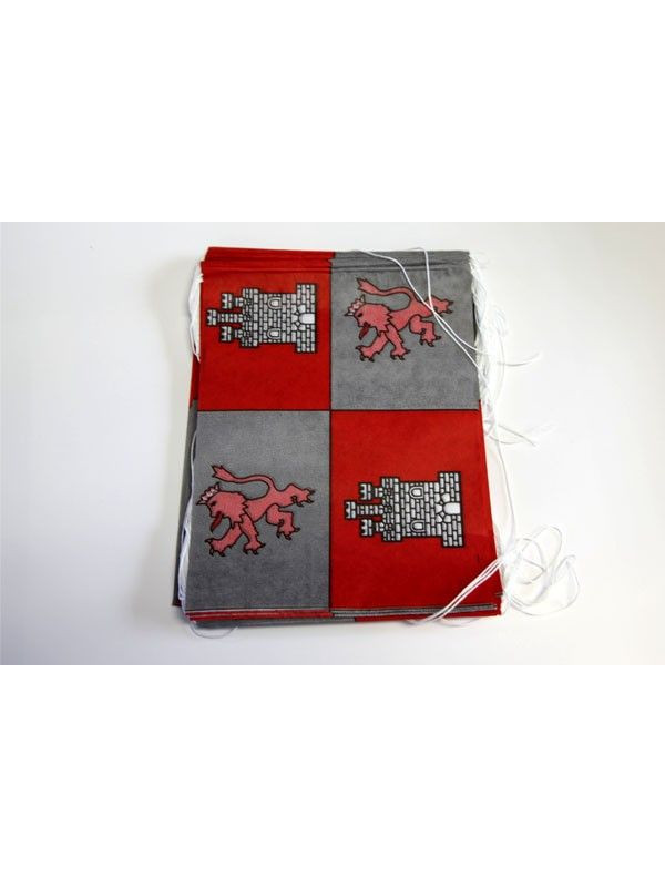 Banderas de Castilla y León papel