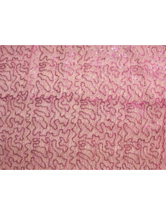 Tejido redecilla lentejuela