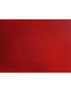 Tejido terciopelo Lyon