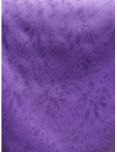 Tejido regional Luciana