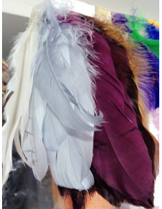 Fleco pluma oca