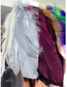 Fleco pluma oca