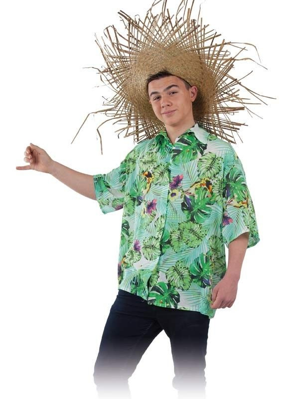 Camisa de hawaiano adulto