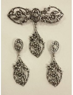 Conjunto regional 5055