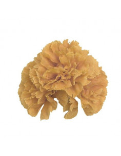 Pinza con 3 claveles