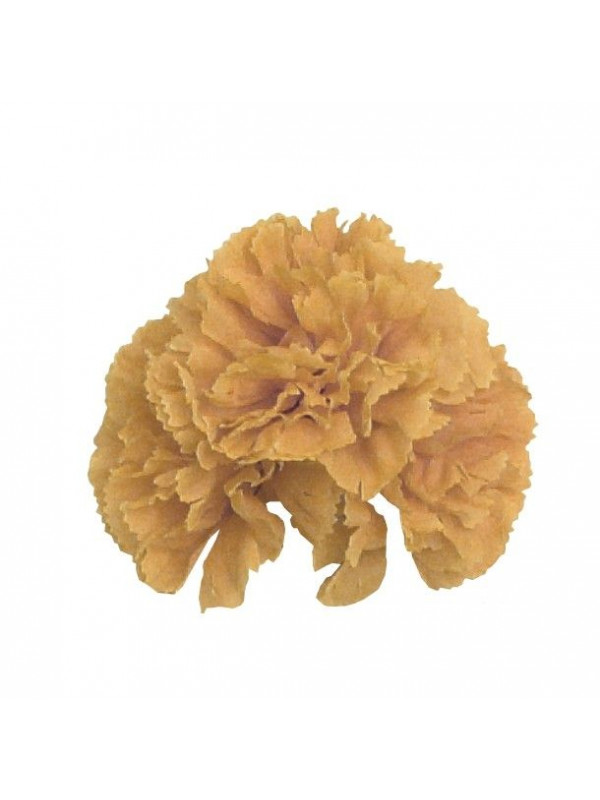 Pinza con 3 claveles