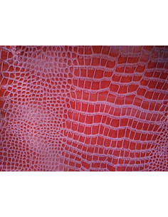 Tejido polipiel de cocodrilo brillante 2