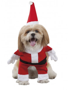 Disfraz de Papá Noel para perro