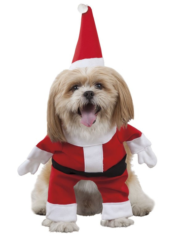 Disfraz de Papá Noel para perro