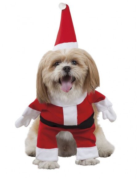 Disfraz de Papá Noel para perro