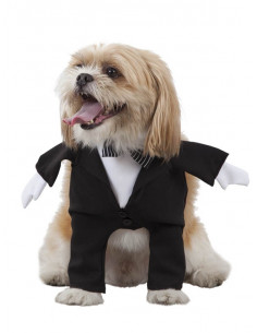 Disfraz de novio para perro