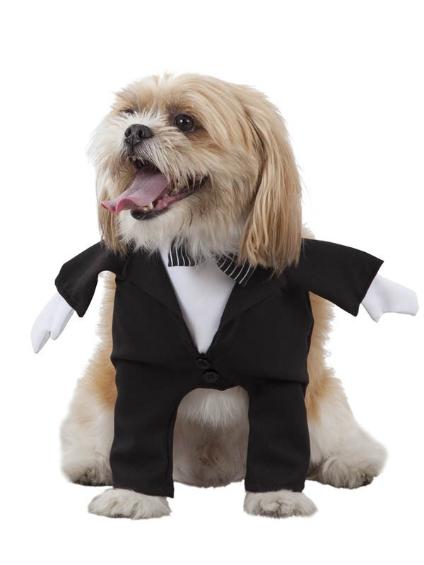 Disfraz de novio para perro