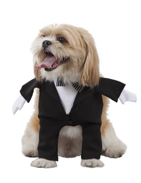 Disfraz de novio para perro