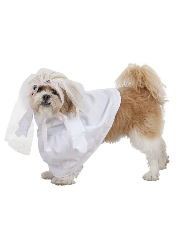 Disfraz de novia para perro