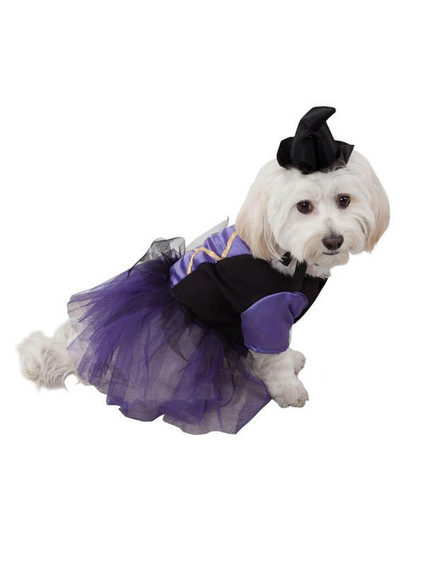 Disfraces de bruja para perros