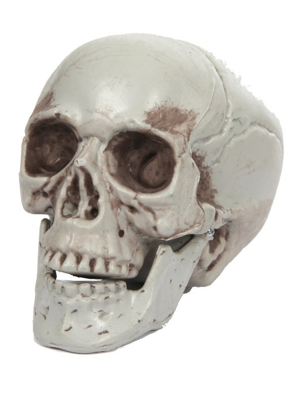 Calavera decoración