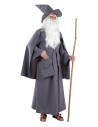 Disfraz de mago gris