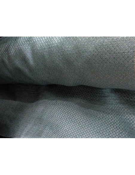 Tejido regional gris