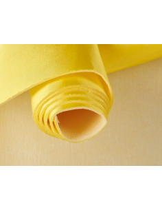 Tela con esponja foan 2