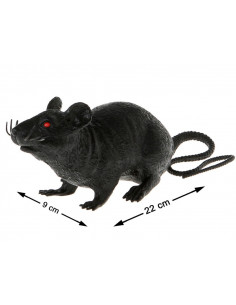 Rata para decoracion