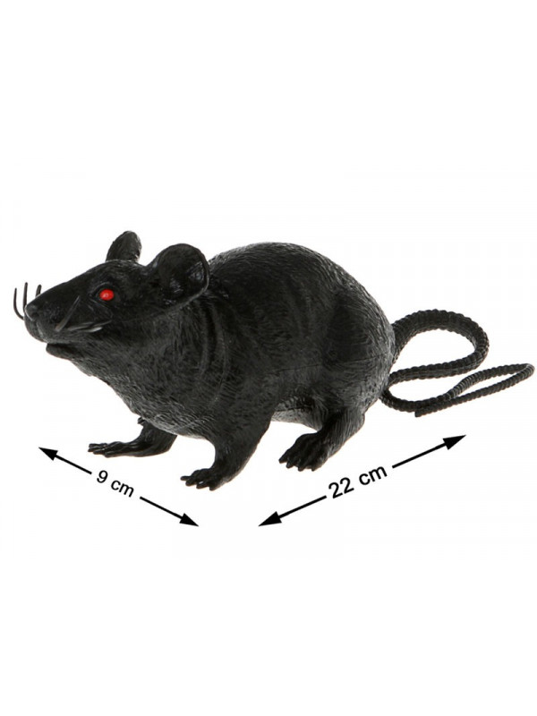 Rata para decoracion